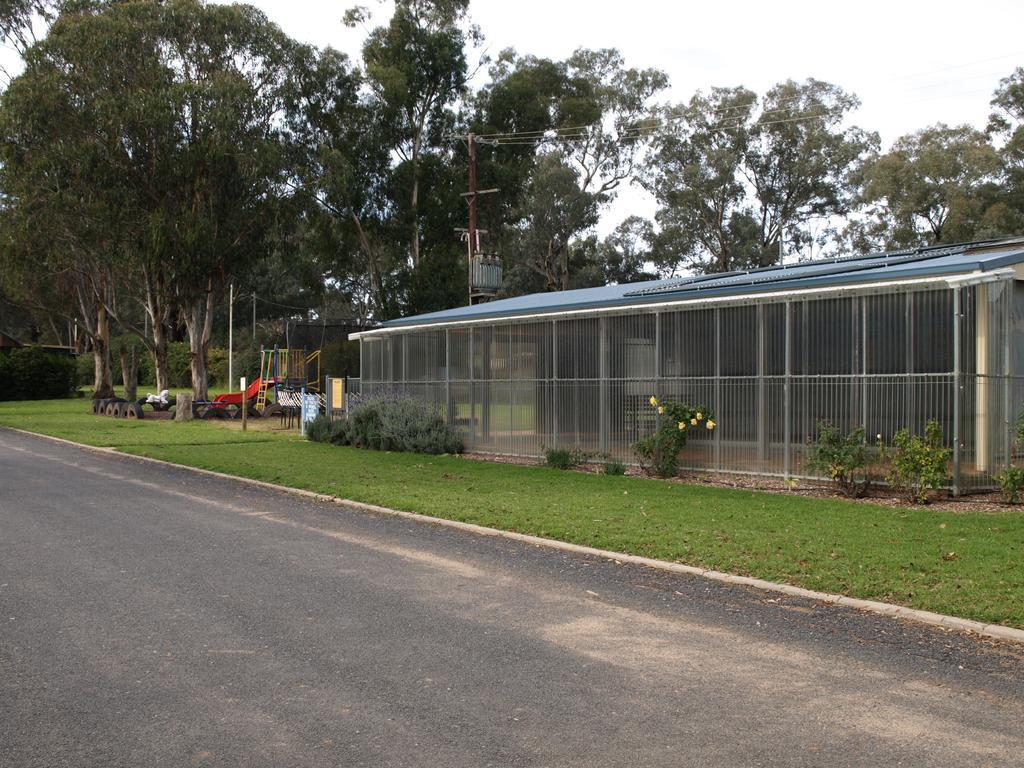 Cowra Holiday Park Kültér fotó